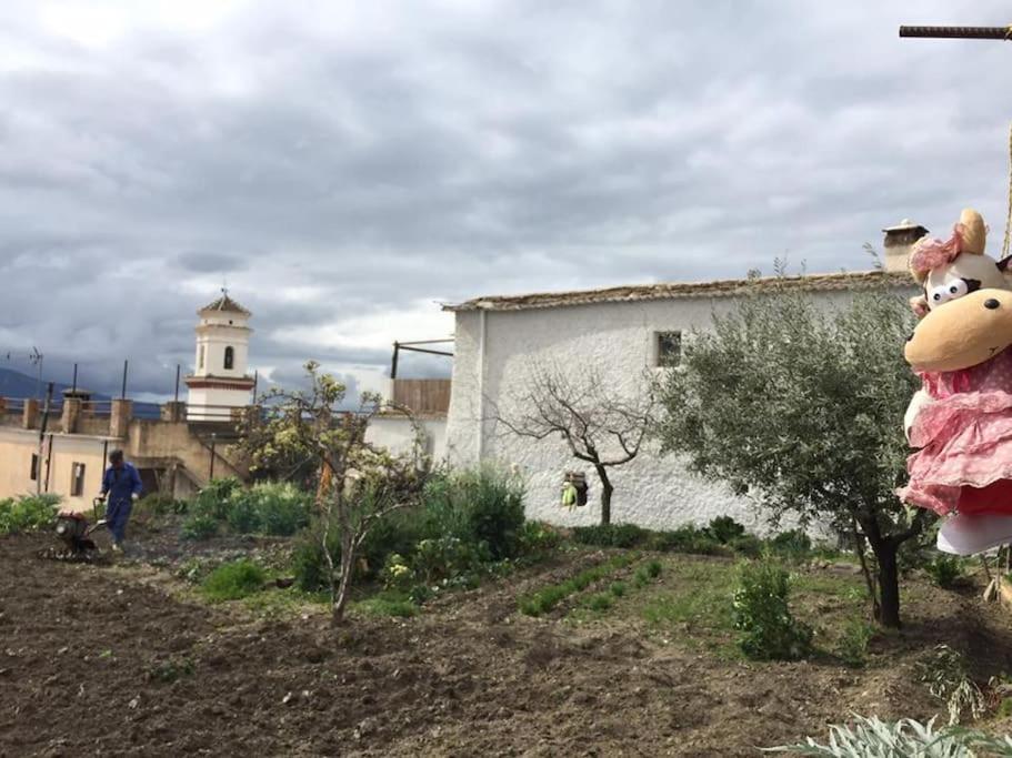 La Casa Rural De Paco Y Ana Pitres Exterior photo
